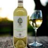 Rượu Vang Il Pumo Chardonnay Salento IGP 2019 - rượu bán khô trắng từ tỉnh Apulia của Ý. Rượu được làm từ 100% giống nho nổi tiếng