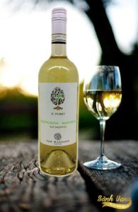 Rượu Vang Il Pumo Chardonnay Salento IGP 2019 - rượu bán khô trắng từ tỉnh Apulia của Ý. Rượu được làm từ 100% giống nho nổi tiếng