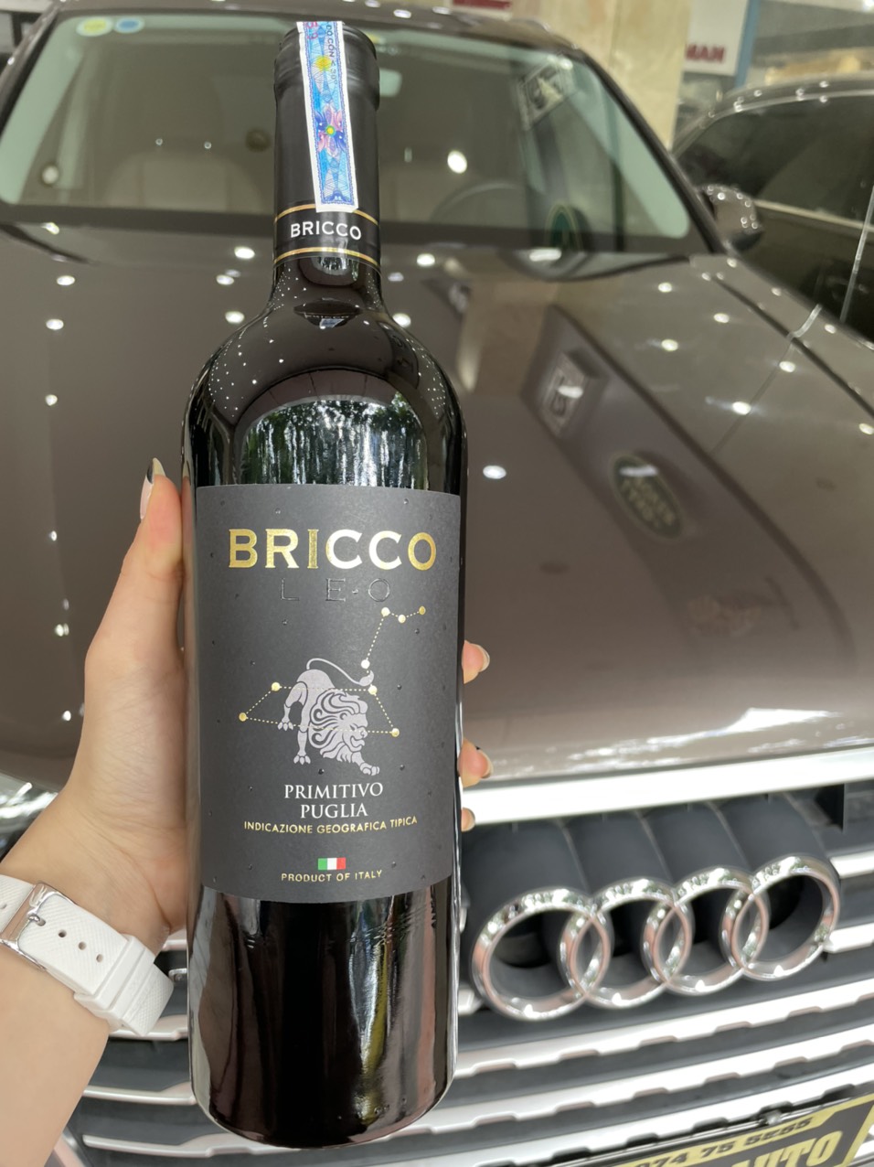 Rượu Vang Bricco LEO Primitivo Puglia được làm từ nho Primitivo trồng ở Puglia trong khí hậu ấm áp và khô ráo